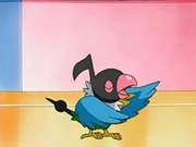 Jigglypuff