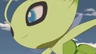 Imagen de Celebi