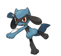 Imagen de Riolu