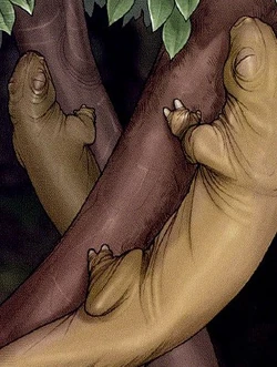 Ysalamiri