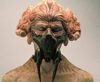 Un modelo de Plo Koon sin gafas protectoras.