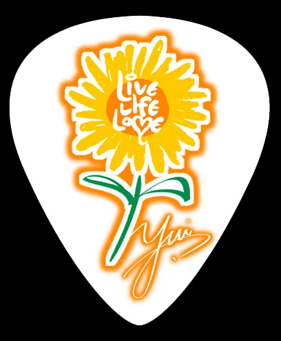 Pick Design By 加旋比路
