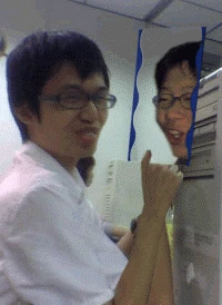 圖像:Dolphin.gif