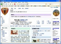 Mozilla Firefox 3 的介面