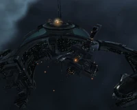 Widow Black Ops