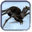 Image:Giant spider.gif