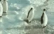 Image:Oops!.gif