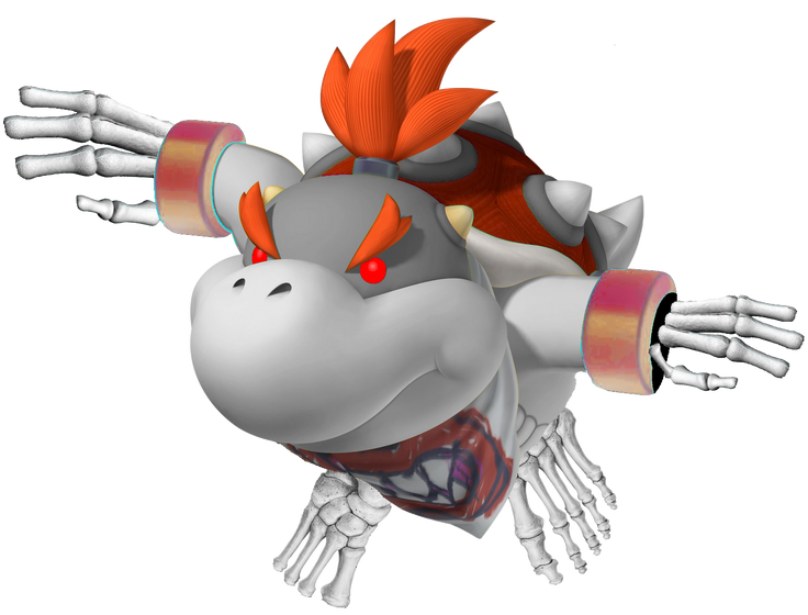 736px-Dry_Bowser_Jr._Art.png