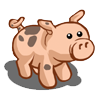 Image:Ossabaw Pig-icon.png