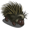 Image:Porcupine-icon.png