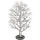 Birch Tree