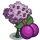 Plum Tree