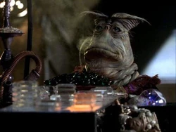 Rygel plays Tadek.