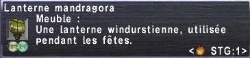 Lanterne mandragora