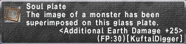 Additional Earth Damage +25