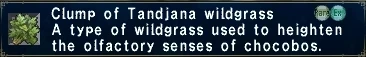 Tandjana Wildgrass
