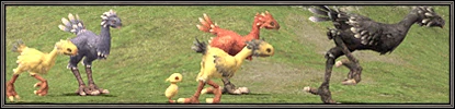 2006 - (12/07/2006) Chocobo Raising Changes and Additions