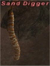 File:Sand Digger.jpg