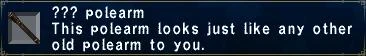 File:Unknown Polearm.JPG