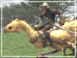 Image:Transp img01.gif