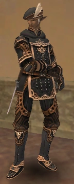 An Elvaan male in full Noct gear