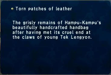 file:Torn_patches_of_leather.JPG
