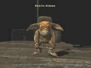 Moblin Aidman