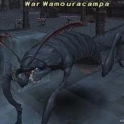 War Wamouracampa