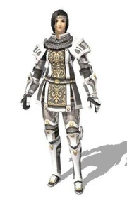 A Hume in full Paladin Relic Armor