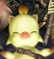 Mooglepiez im Mooglekiez