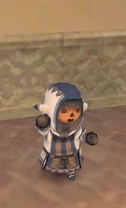 A Tarutaru male in full Combat Caster gear