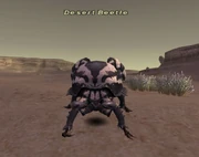 Desert Beetle