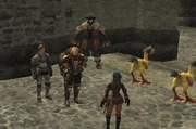 A Friendly competition