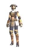 Beastmaster Artifact Armor