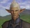 This user is an Elvaan