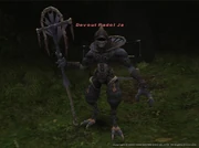 Devout Radol Ja