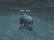 Maze Lizard