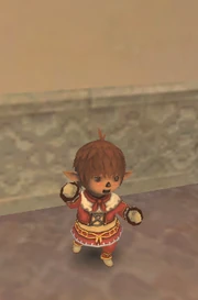 A Tarutaru male in full RSE gear