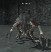Taurus