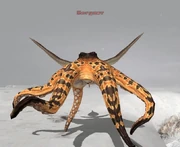 Morgawr