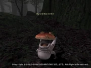 Myxomycete