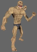 NwN Ettin