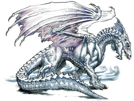 A white dragon