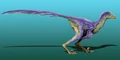 Life restoration of Tianyuraptor.