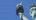 image:b.statue_of_liberty.classic.png