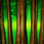 Image:Thicket.jpg