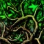Image:Bramble.jpg