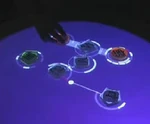Reactable — physical objects and table display are combined into a flexible synthesizer graph video