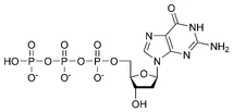 Chemical structure of deoxyguanosine triphosphate