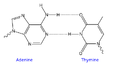 Thumbnail for version as of 23:17, November 14, 2007